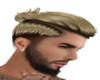 Malcolm ombre pony