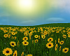 Windy Sunflower Field