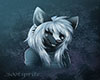 AQ~ Furry Picture 12