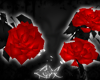 -LEXI- Roses | Red