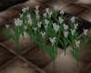 [CI]White Flower bed