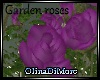 (OD) Garden roses
