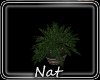 NT Always  Planter 5