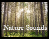 ~GW~ Nature sounds