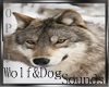 Wolf&Dog Sounds