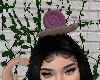 snail pet ⋆˚ 2