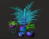 Plant Set Colourful 2