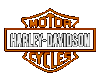 Harley Davidson Spin