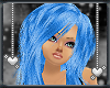 [SWA]Calla Blue