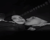 ᥫ᭡. Couple Cutout 48