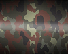 Berlin Camo weapons