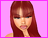 𝓖𝓑. Angelica BURG.
