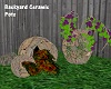 Backyard Ceramic Pots