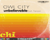 OWL CITY UNBELIEVABLE