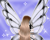 White Fairy Wings