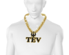 TEVik Custom