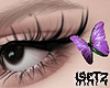 Butterfly Coachella lV