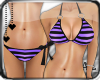 [c] Striped Bikini Purpl