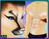 ▽ Caracal ♂