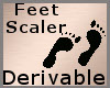 Derivable Feet Scale -F
