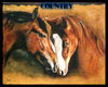 poster caballo country