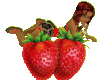 strawberry diva