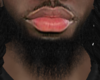Asteri Beard #022