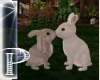 *P* cuple bunny 