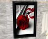 (H)Red rose...