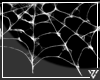 ▲Vz' Spider Web 2