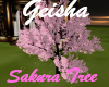 Geisha Sakura Tree