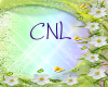 [CNL]DOC flower 4