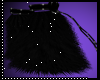 LV new black  cat