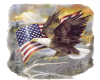 R&R American Eagle