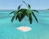 Small Island Palm Tree
