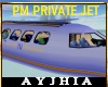 a" PM Private Jet