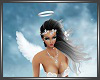 SL Angel Kim Bundle