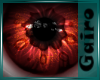 Mynx Eyes Uni