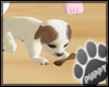 [Pup] Millie Pet W/ Bone