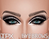KD Eyebrows ISA