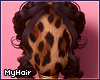 naya mocha