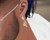 Arete Signo Leo Amigo