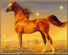 Animated Horse 45