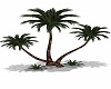 Beach Resort Palm V2