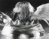 Angel_out