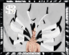 Enggang Feather Shou