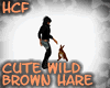 HCF Cute Wild Brown Hare