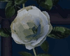 !L! A Royal Rose