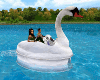 Swan animated Boat