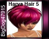 [BD] Harva Hair 5